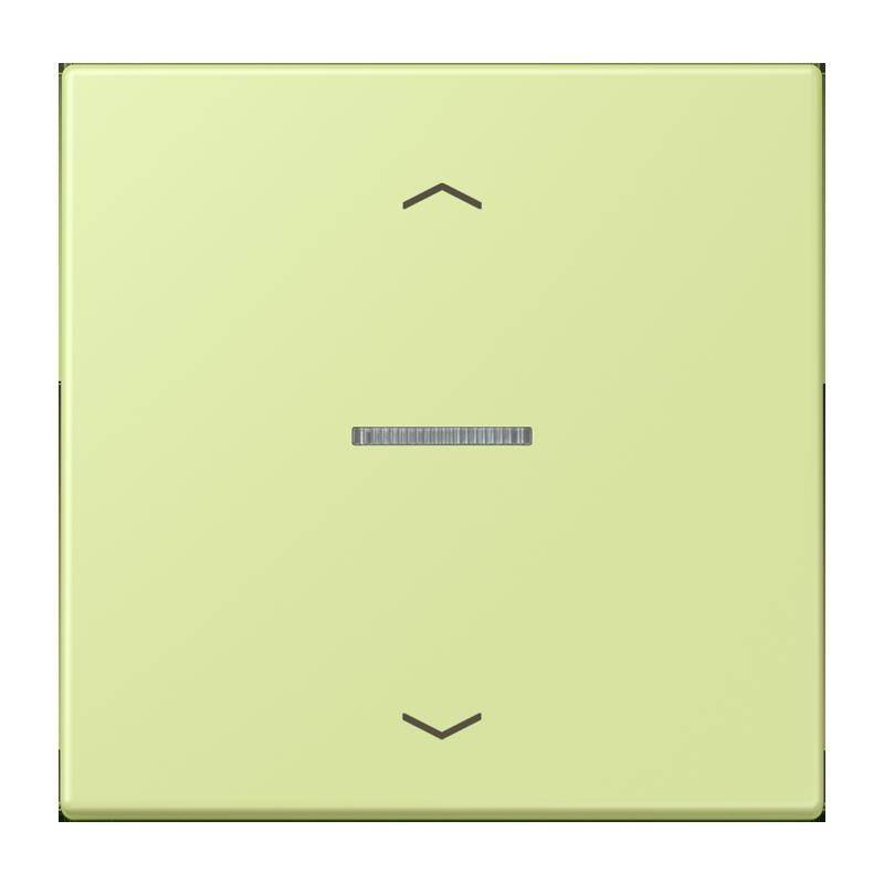 Jung Taster 1fach BT LC 17101 P 222