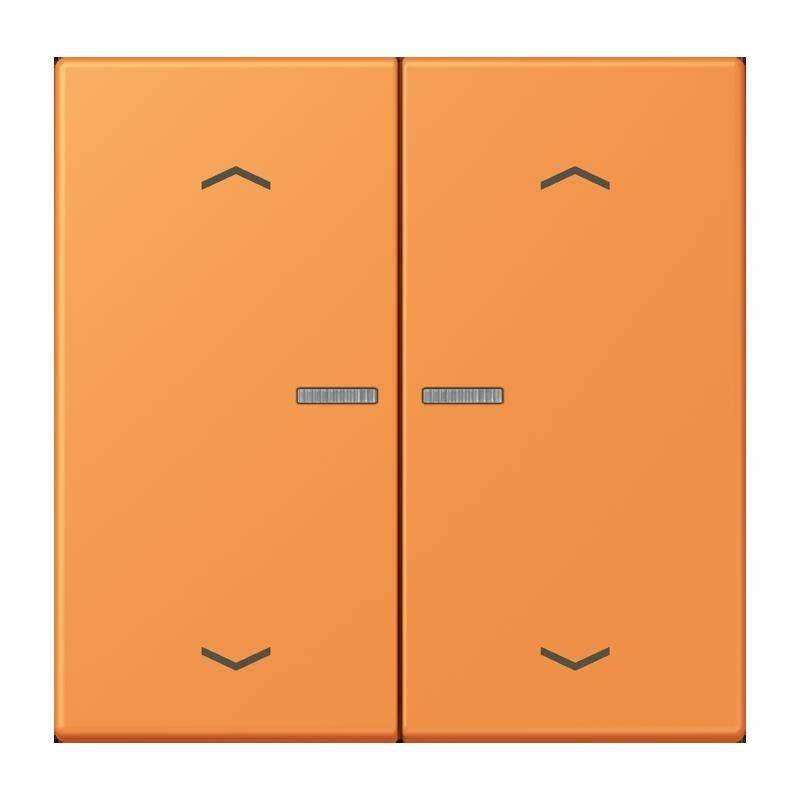 Jung Taster mit Pfeilsymbolen BT LC 17102 P 225