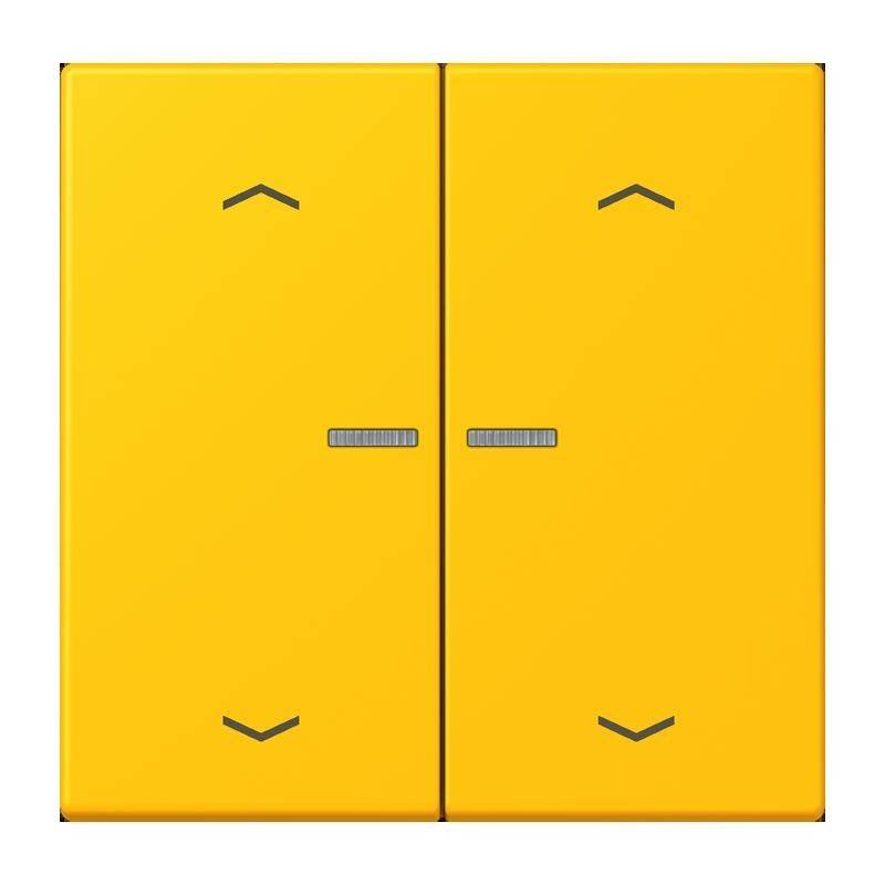 Jung Taster mit Pfeilsymbolen BT LC 17102 P 263