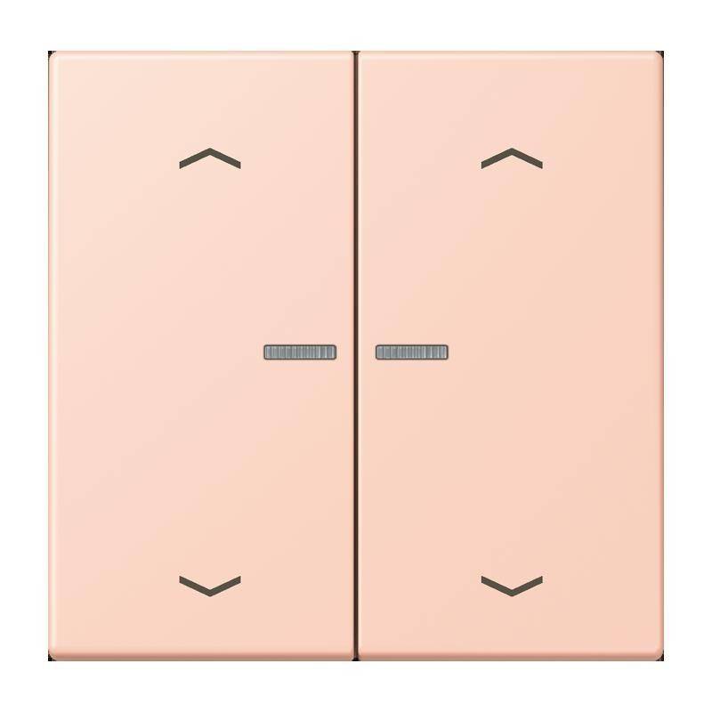 Jung Taster mit Pfeilsymbolen BT LC 17102 P 234