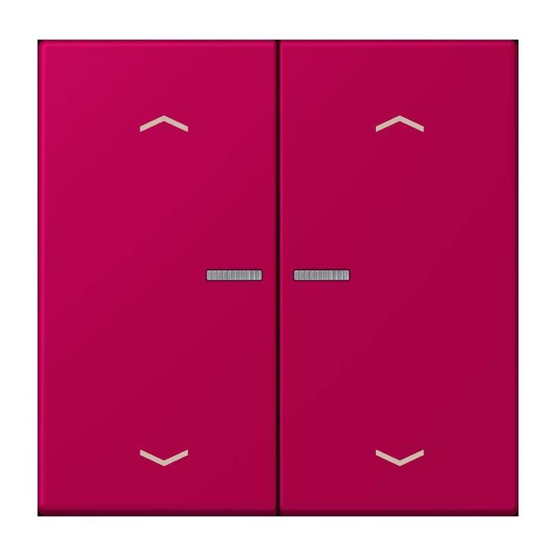 Jung Taster mit Pfeilsymbolen BT LC 17102 P 230