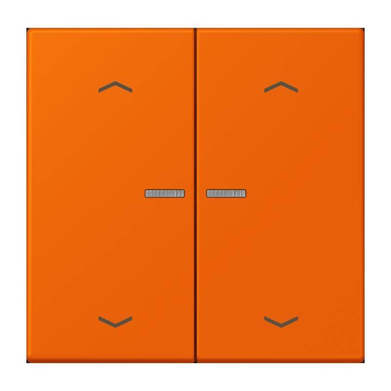 Jung Taster mit Pfeilsymbolen BT LC 17102 P 224