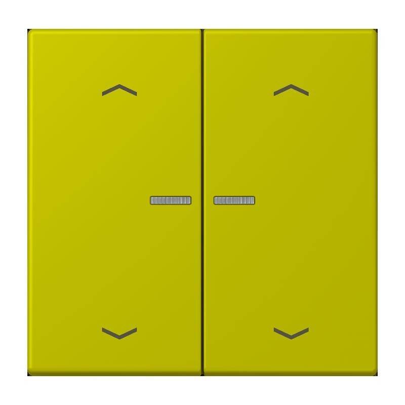 Jung Taster mit Pfeilsymbolen BT LC 17102 P 249