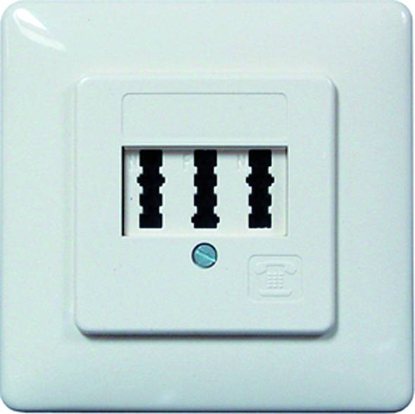 PTAE Telefondose UP 3x6NFN rw