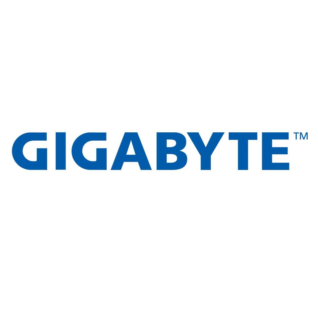 Gigabyte Stromkabel - 2 x 8-poliger PCI-Express-Anschluss