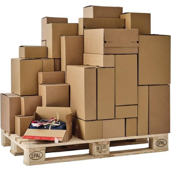 Versandkarton Eurobox CP154.301040 294x94x387mm braun