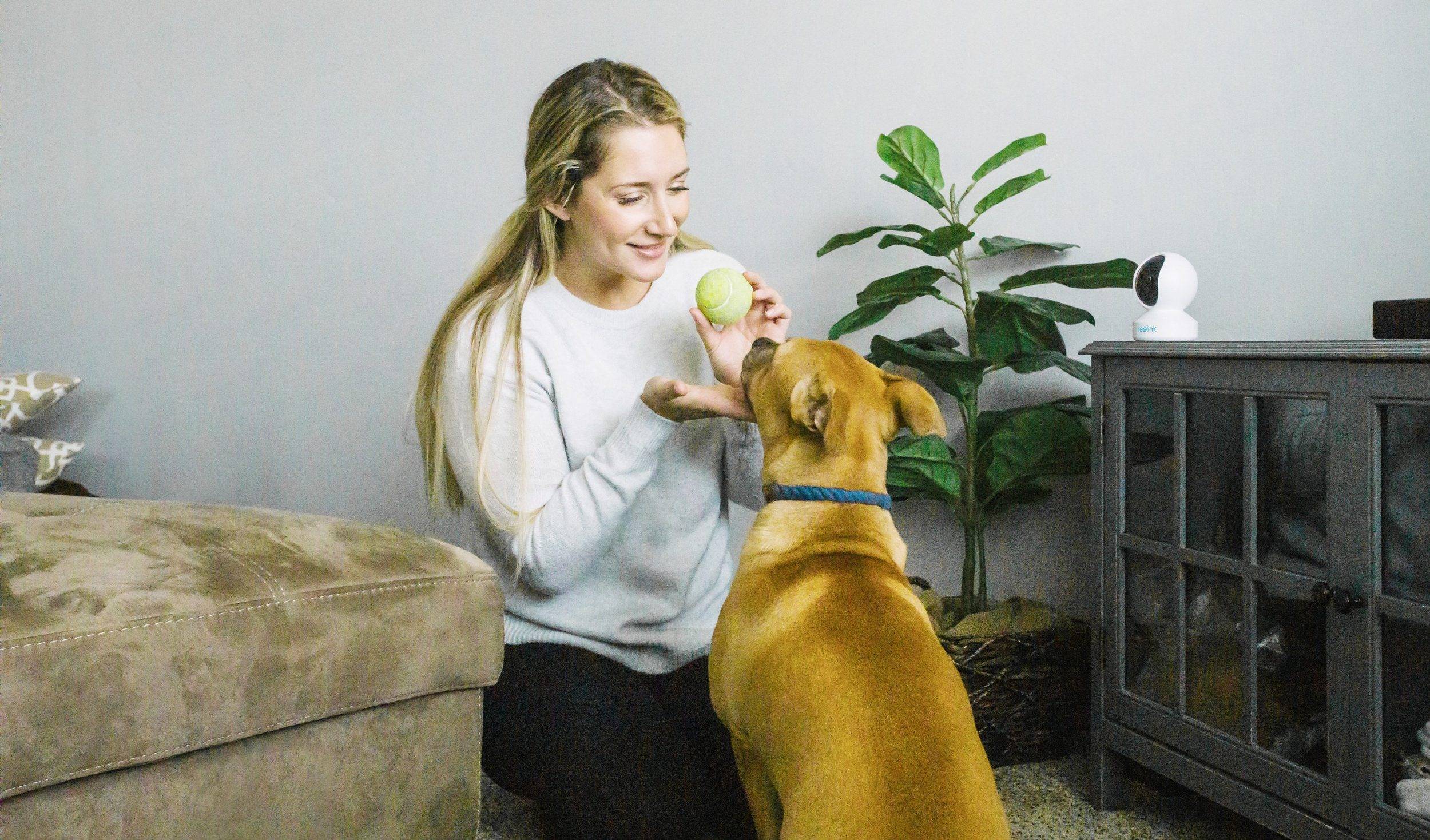 Reolink E1 Zoom / Schwarz