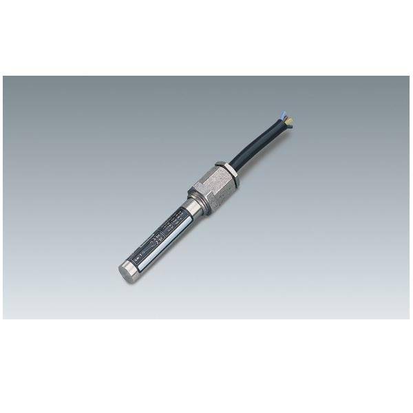 Bernstein Magnetschalter MAN-1613-LT-10