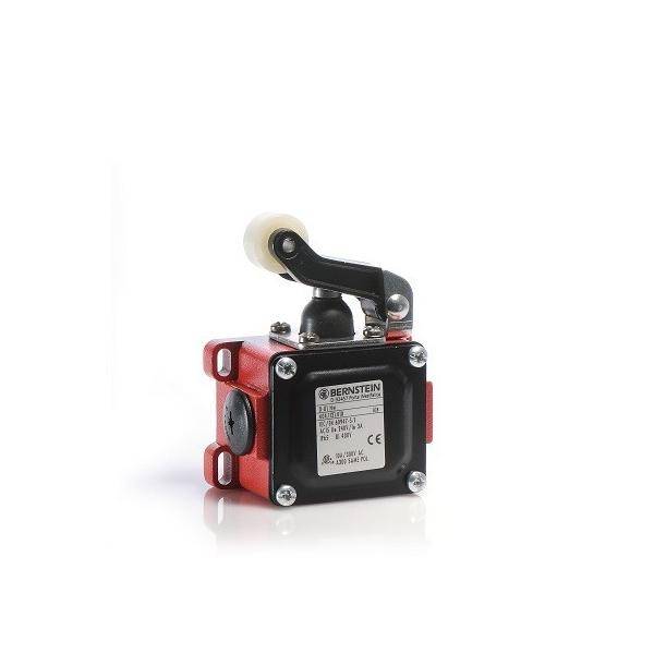 Bernstein Grenztaster D-U2 HW