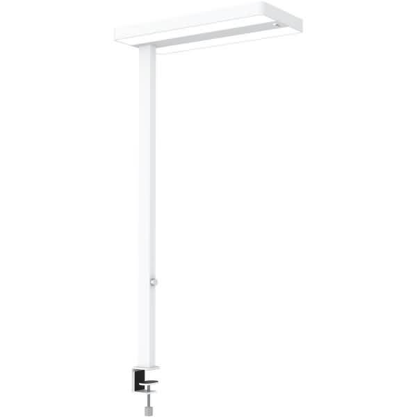 Weiße verstellbare Schreibtischlampe mit schlankem vertikalem Ständer und rechteckigem Lampenkopf, die an der Schreibtischkante eingeklemmt ist.
