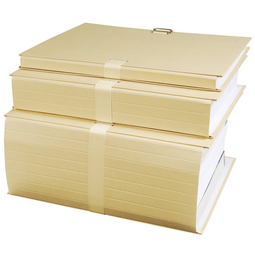 Exacompta 10x PM mit dehnb Rück 130mm 360x260 cham - Perlweiß - 320E