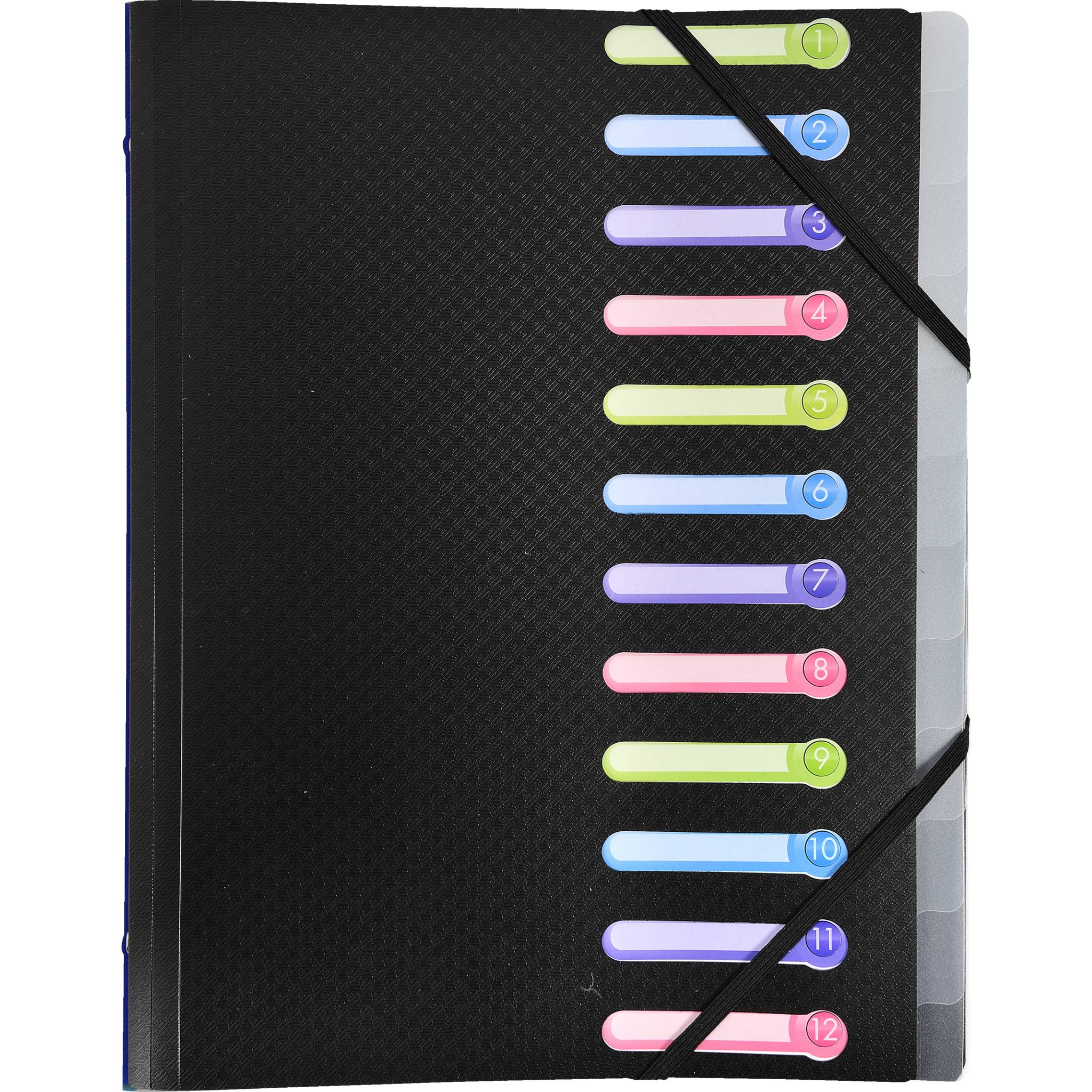 Exacompta 10x Ordnungsmappe OPAK PP + 3 Klappen, 12 Fächern, sortiert, 55180E