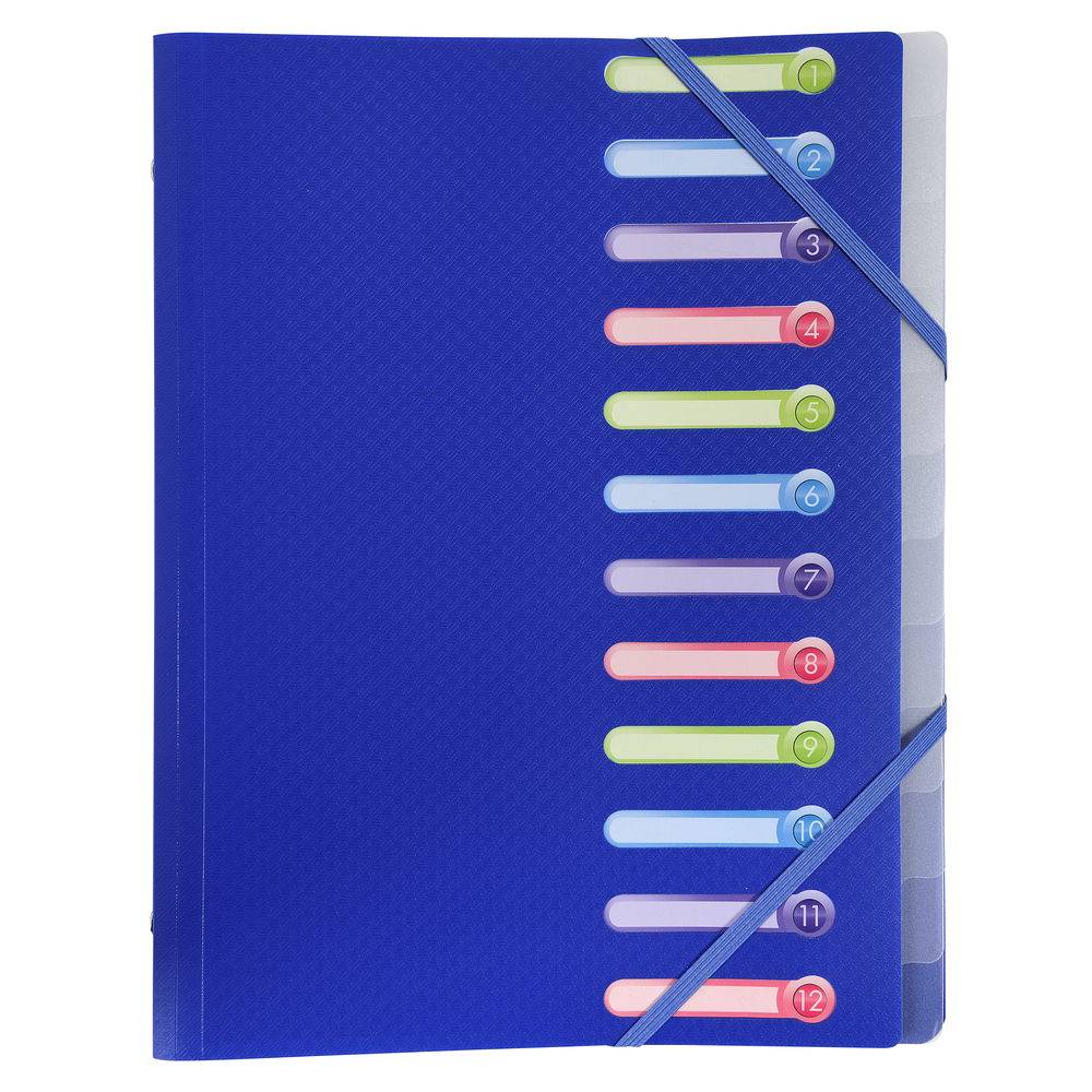 Exacompta 10x Ordnungsmappe OPAK PP + 3 Klappen, 12 Fächern, sortiert, 55180E