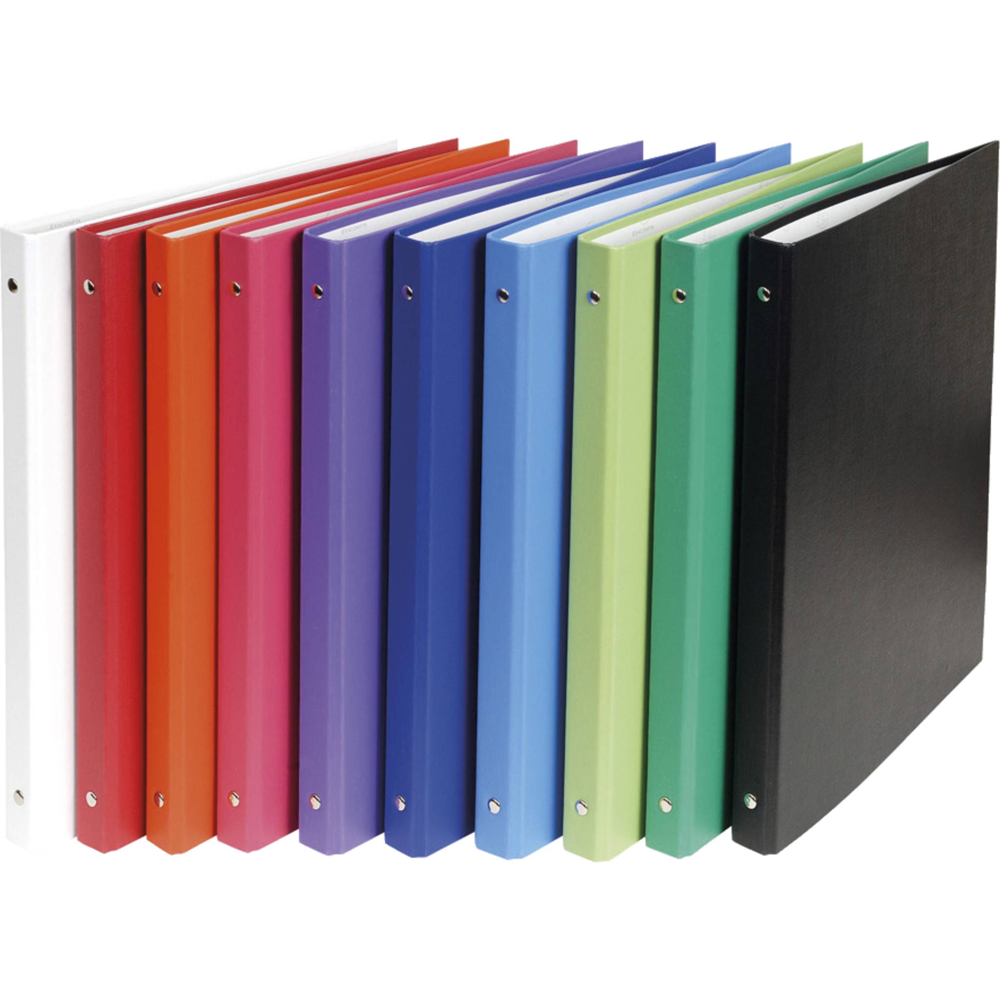 Exacompta 20x Ringbuch rembordiert PP 4Ring 15mm Rücken 20mm A4 sortiert 51150E