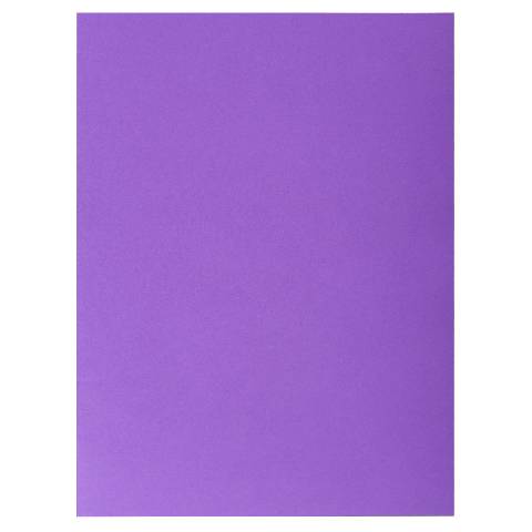 Exacompta 10x Pack 25 Aktenmappe, 2 Innenfächer, A4 oder A3, Lila, 415007E