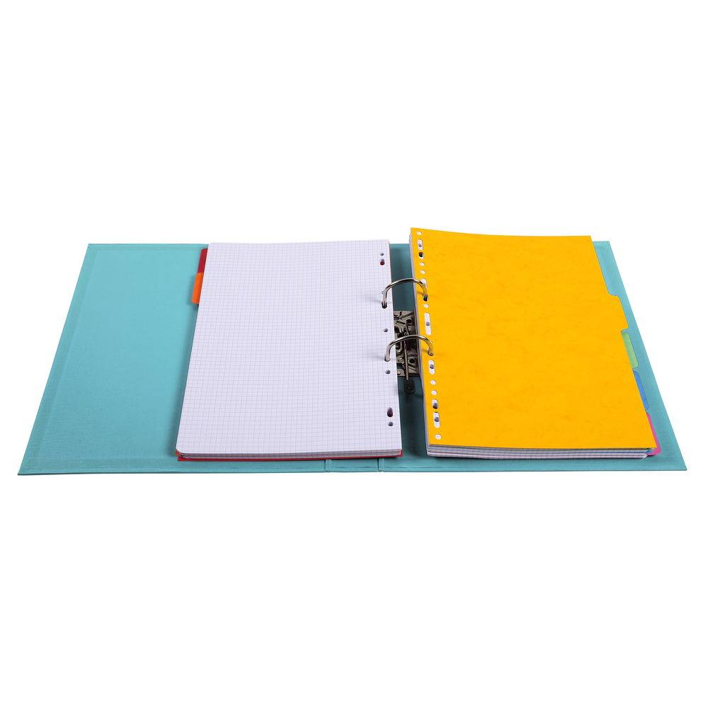 Exacompta 10x Ordner Prem'Touch PVC Rücken 50mm 32x29cm A4 Maxi Hellgrün 53503E