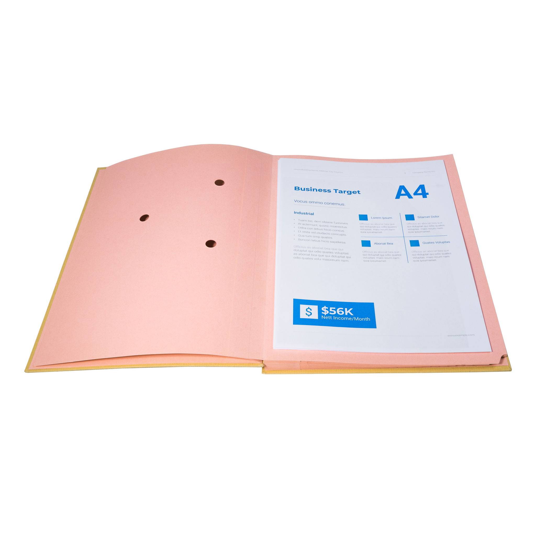 Exacompta 5x Unterschriftenmappe RC Kart.mit dehnbar 20 Fächer A4 braun 22209E