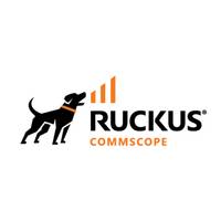 RUCKUS Networks 1Y WatchDog End User Support, 1 Jahr(e), 24x7