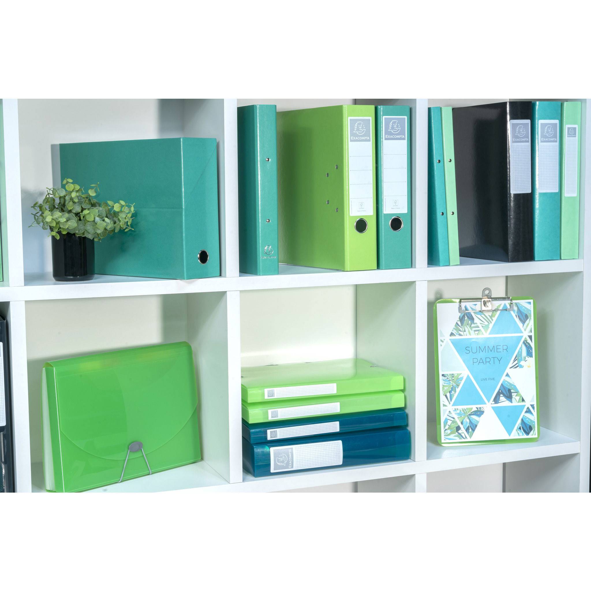 Exacompta 10x Ringbuch Karton 4Ring 30mm Rücken 40mm 32x26cm A4 Anisgrün 519297E