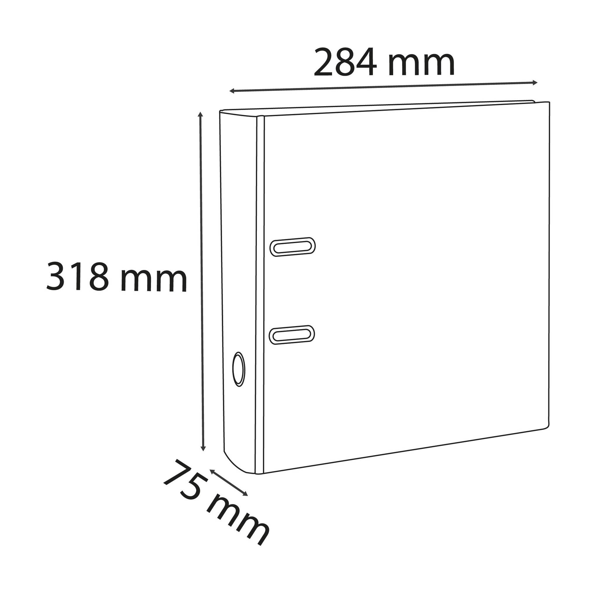 Exacompta 20x Ordner PP + 2 Ringen Rücken 75mm 318x284 mm A4 sortiert 918400B
