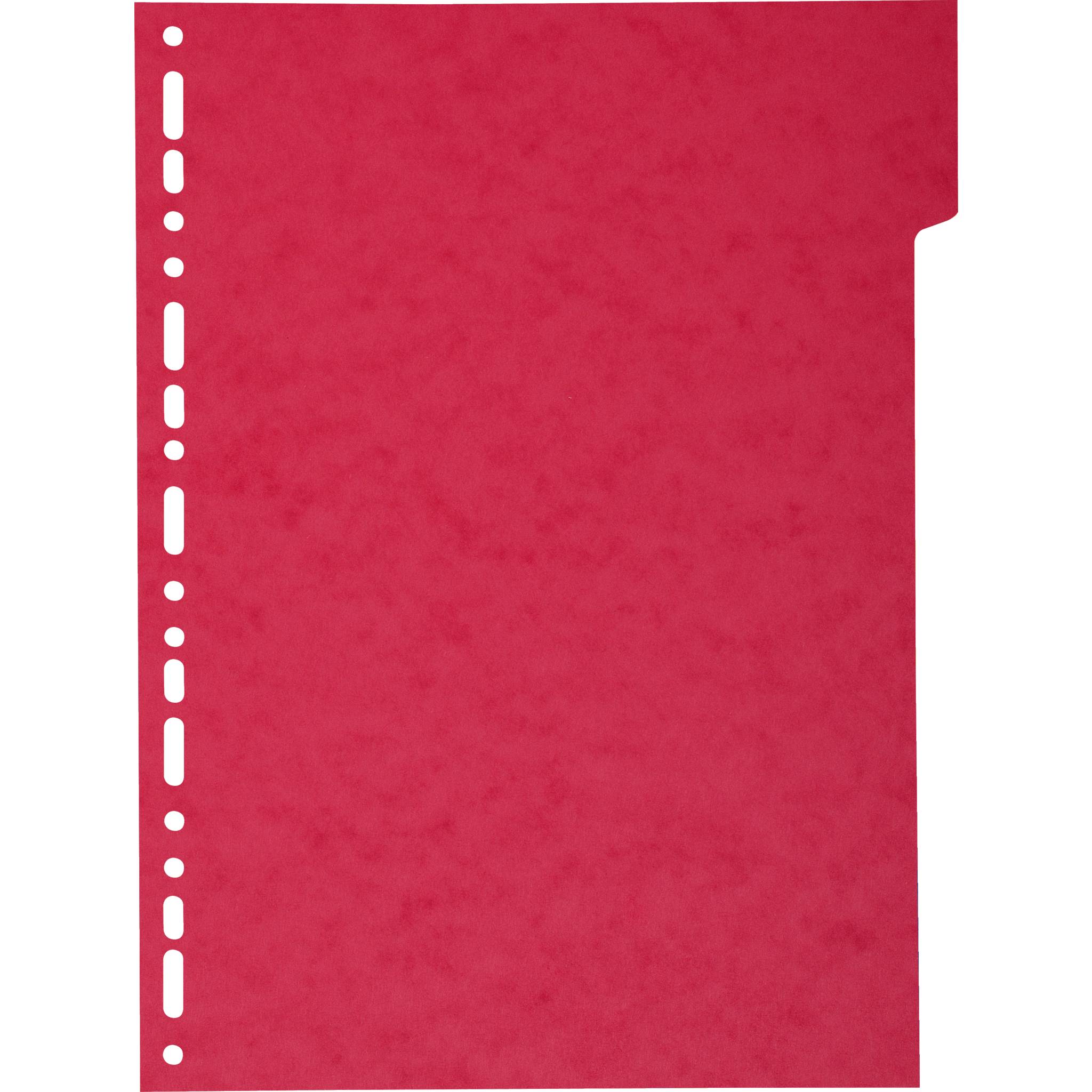 Exacompta 50x Register aus RC Kart.220g, 5 Taben, für Format A4 Maxi - 2105E