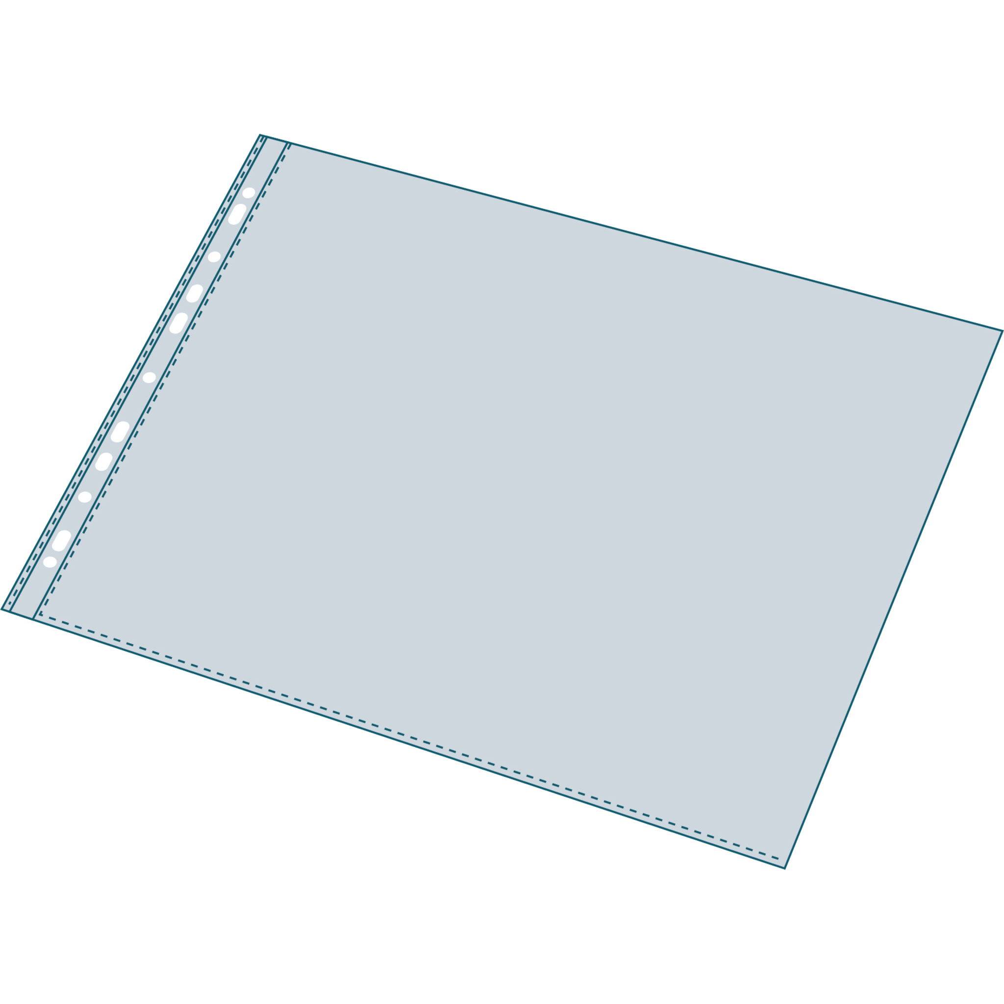 Exacompta 5x 20er perforierter Prospekthüllen PP glatt 55µ A4 Kristall 5734E