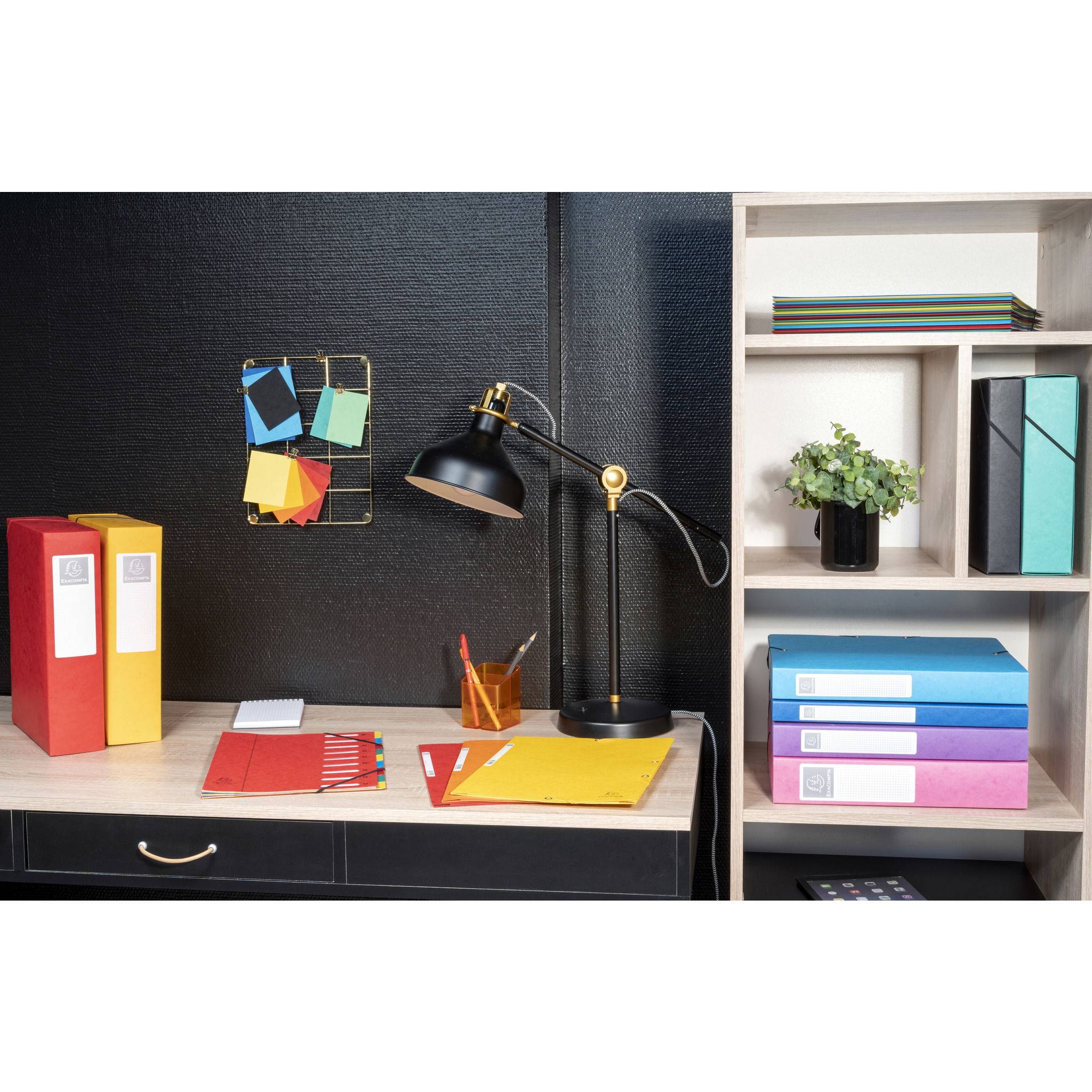 Exacompta 6x Archivbox Karton, 600g, Rücken 80mm + Etikett, A4, Blau, 50832E