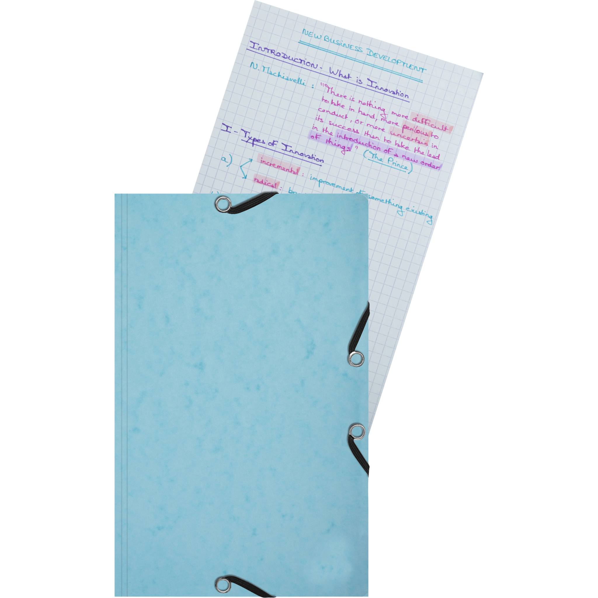 Exacompta 10x Karteikarten-Set Sammelmappe 25x 125x200mm kariert sortiert 55577E