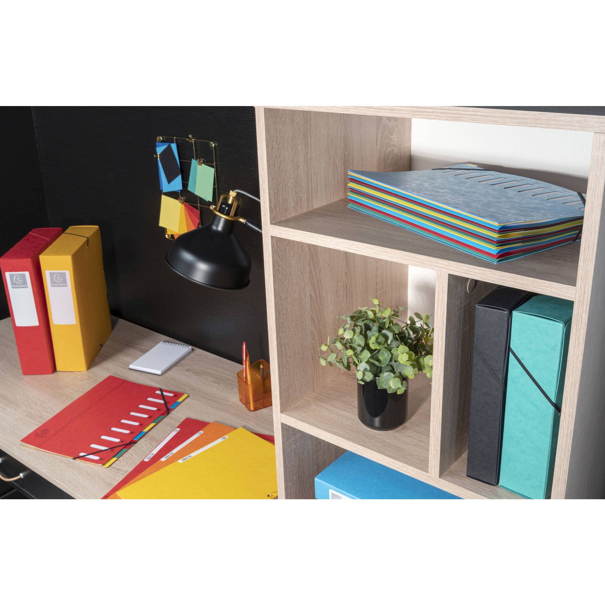 Exacompta 8x Ordnungsmappe HARMONIKA Gummizug Karton 6 Fächer A4 Rot 55065E