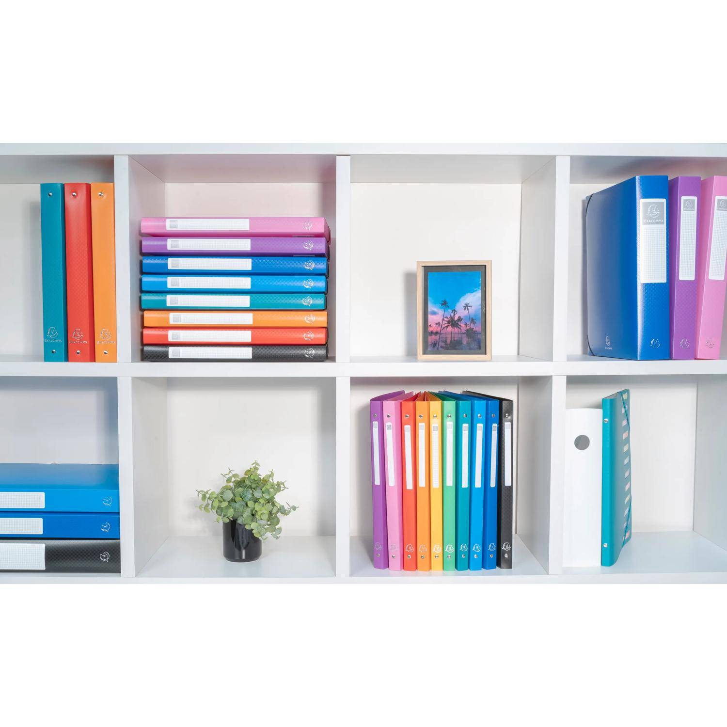 Exacompta 5x Ringbuch PP 700µ 4Ring Rücken 30mm A4 Überbreite sortiert 51490E