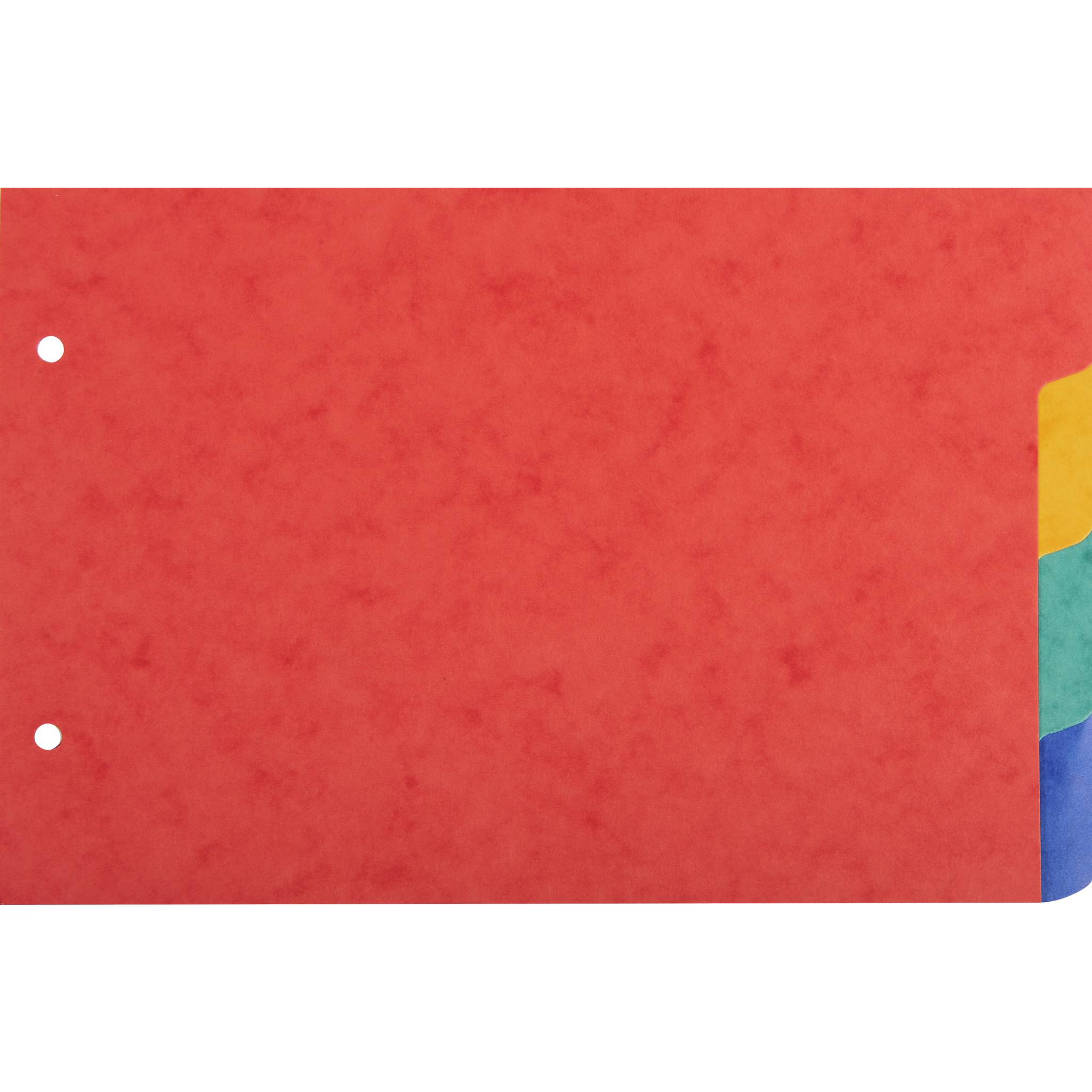 Exacompta 10x Register 148x210mm Karton 225g 4 Taben 2-fach gelocht 804E