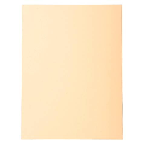 Exacompta 5x Pack 100 Aktendeckeln Recycling 220g A4 - Sand - 410002E