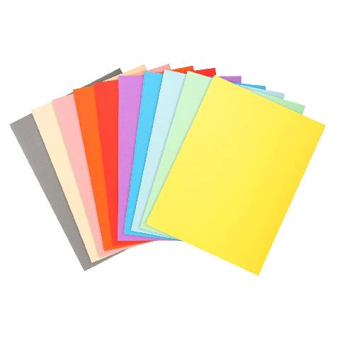 Exacompta 5x Pack 100 Aktendeckeln Recycling 220g A4 - sortiert - 410000E