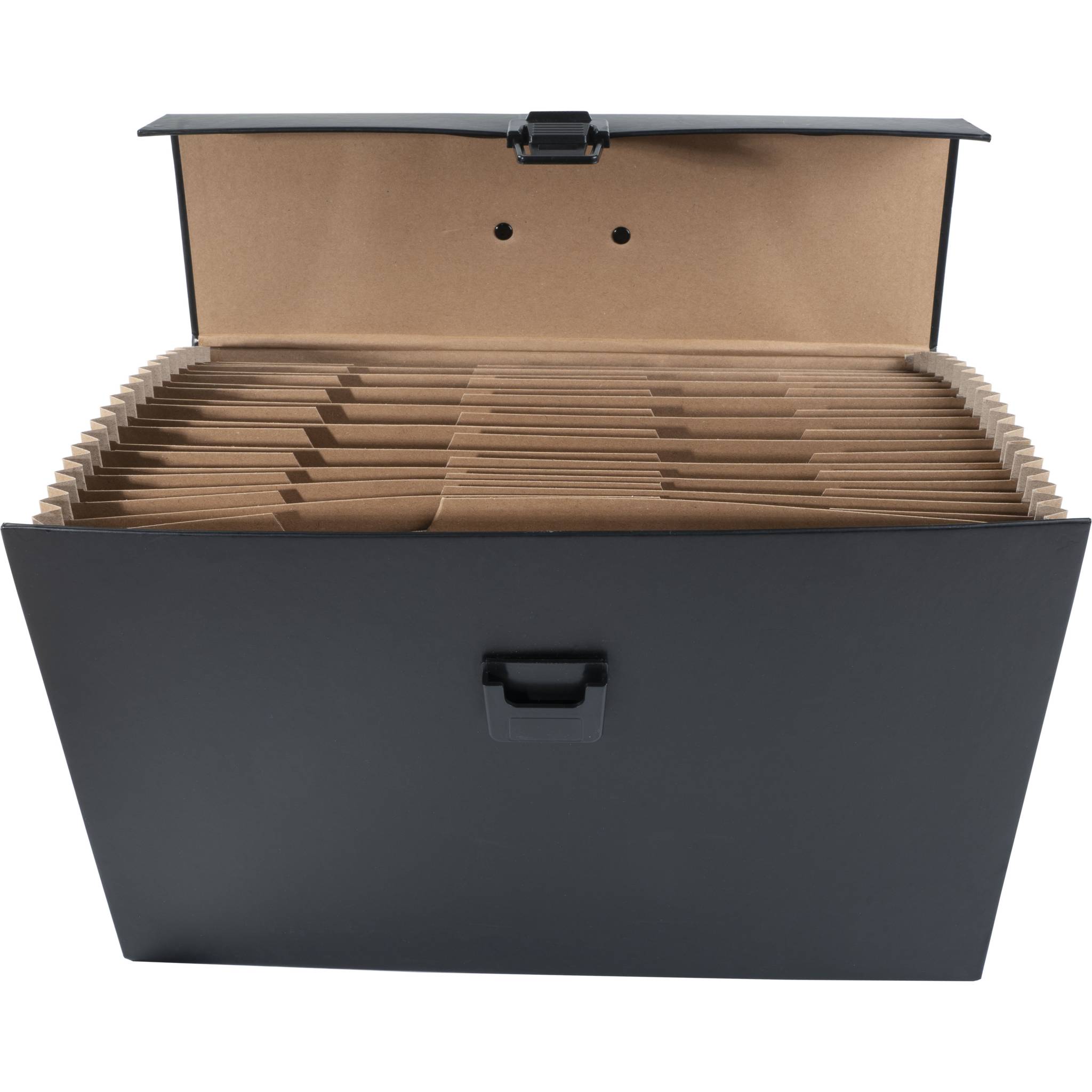 Exacompta 4x Dokumententasche mit Griff, 20 Fächer, für A4 - Schwarz - 58421E