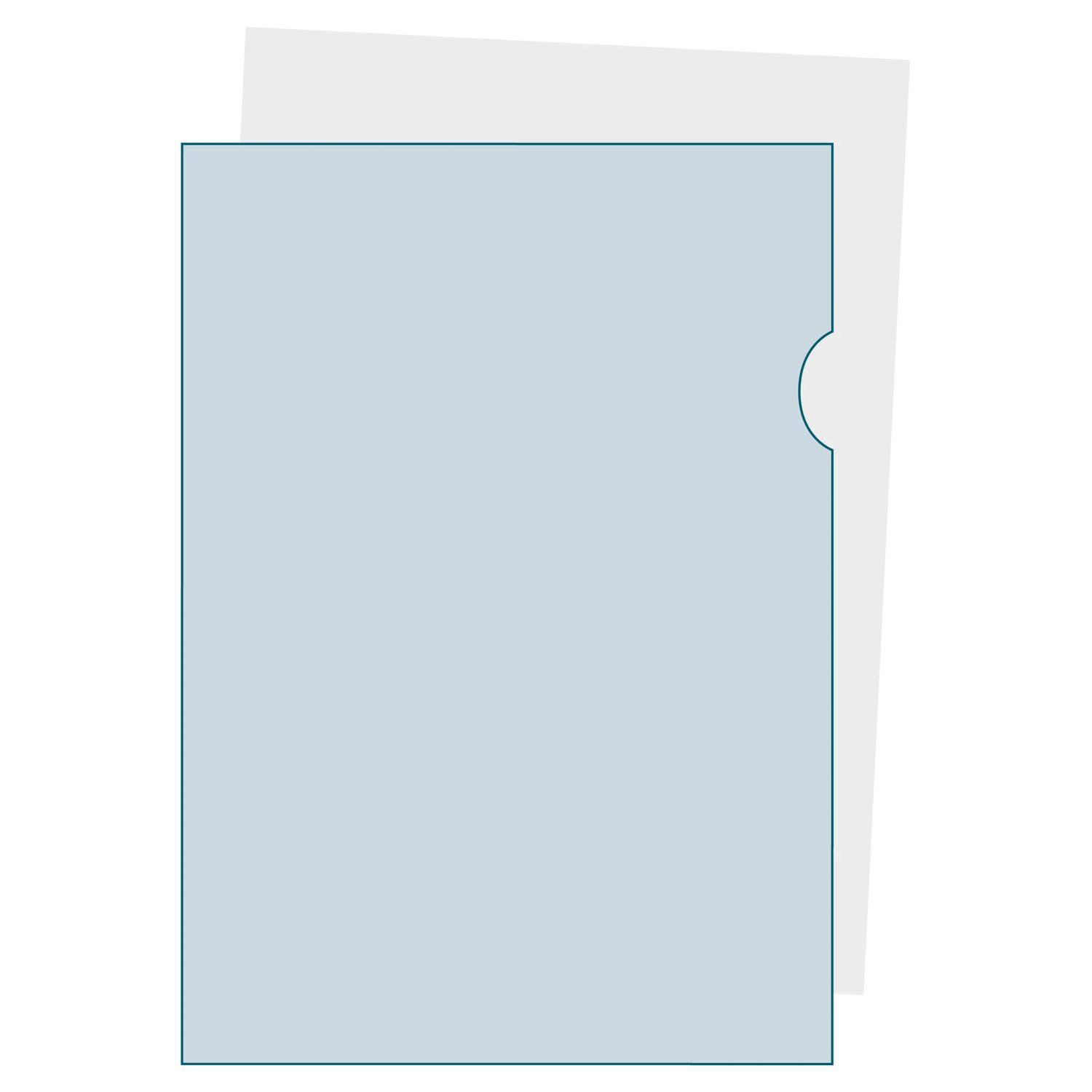 Exacompta 10x Pack 100 Aktenhüllen PP genarbt 1,2mm - A4 - Kristall - 58500E