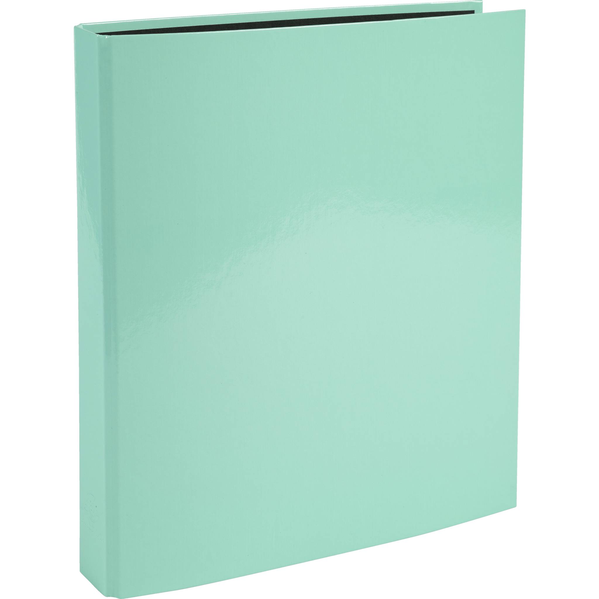 Exacompta 10x Ringbuch A4, 4 Ringe in D-Form 25mm, Aquarel, Pastellgrün, 51563E