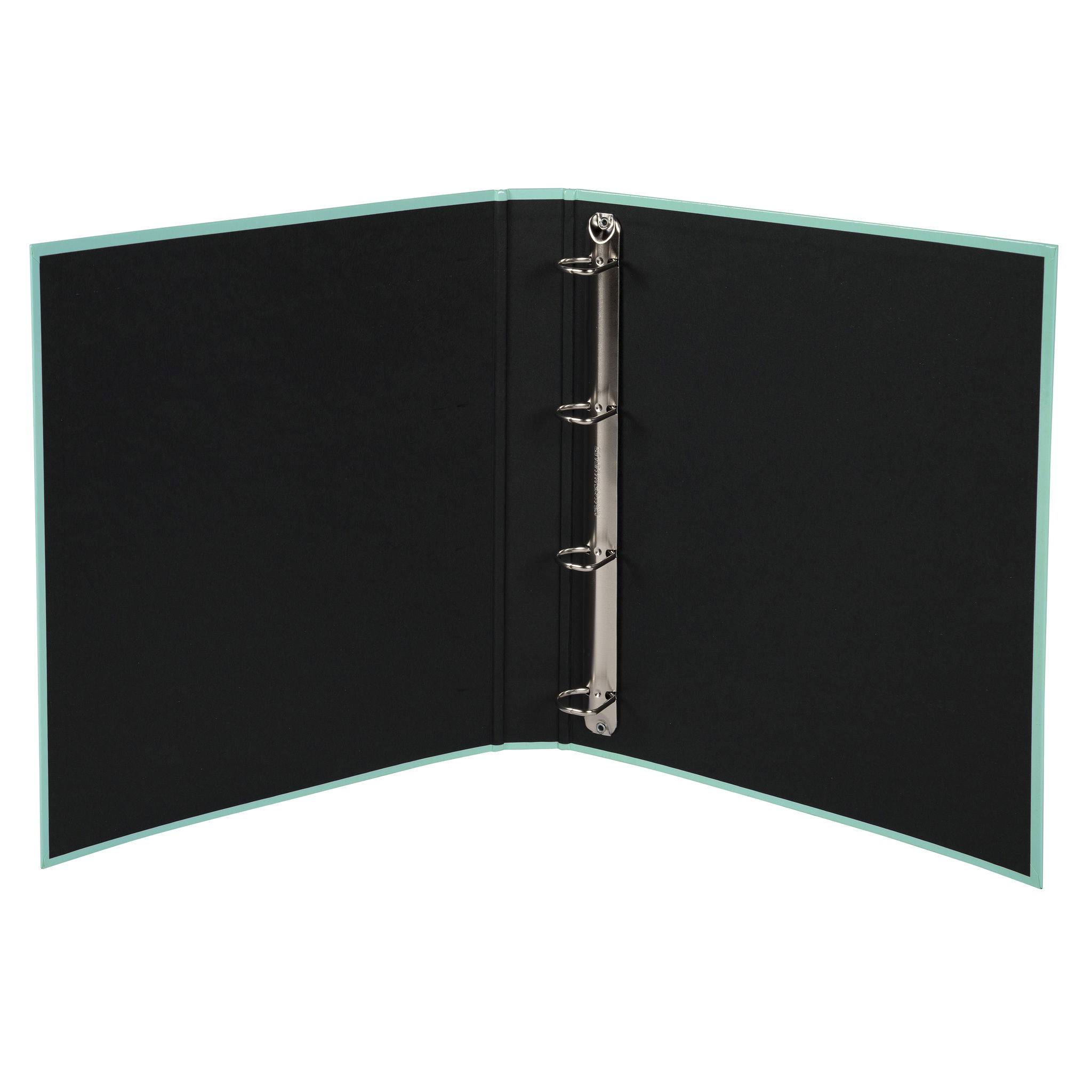 Exacompta 10x Ringbuch A4, 4 Ringe in D-Form 25mm, Aquarel, Pastellgrün, 51563E