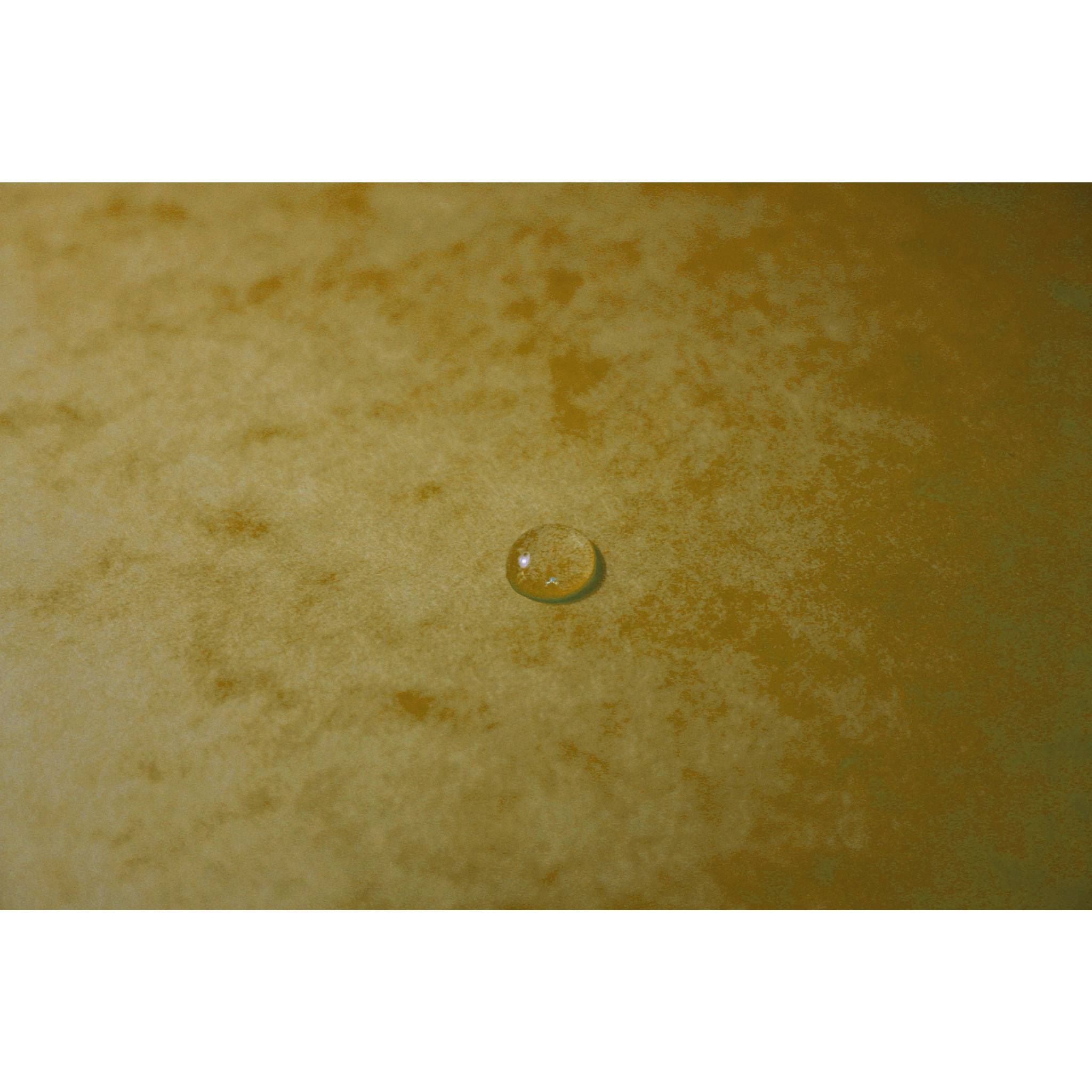 Exacompta 25x Eckspannmappe + Gummizug ohne Klappen, Karton, A4, Gelb, 555419E