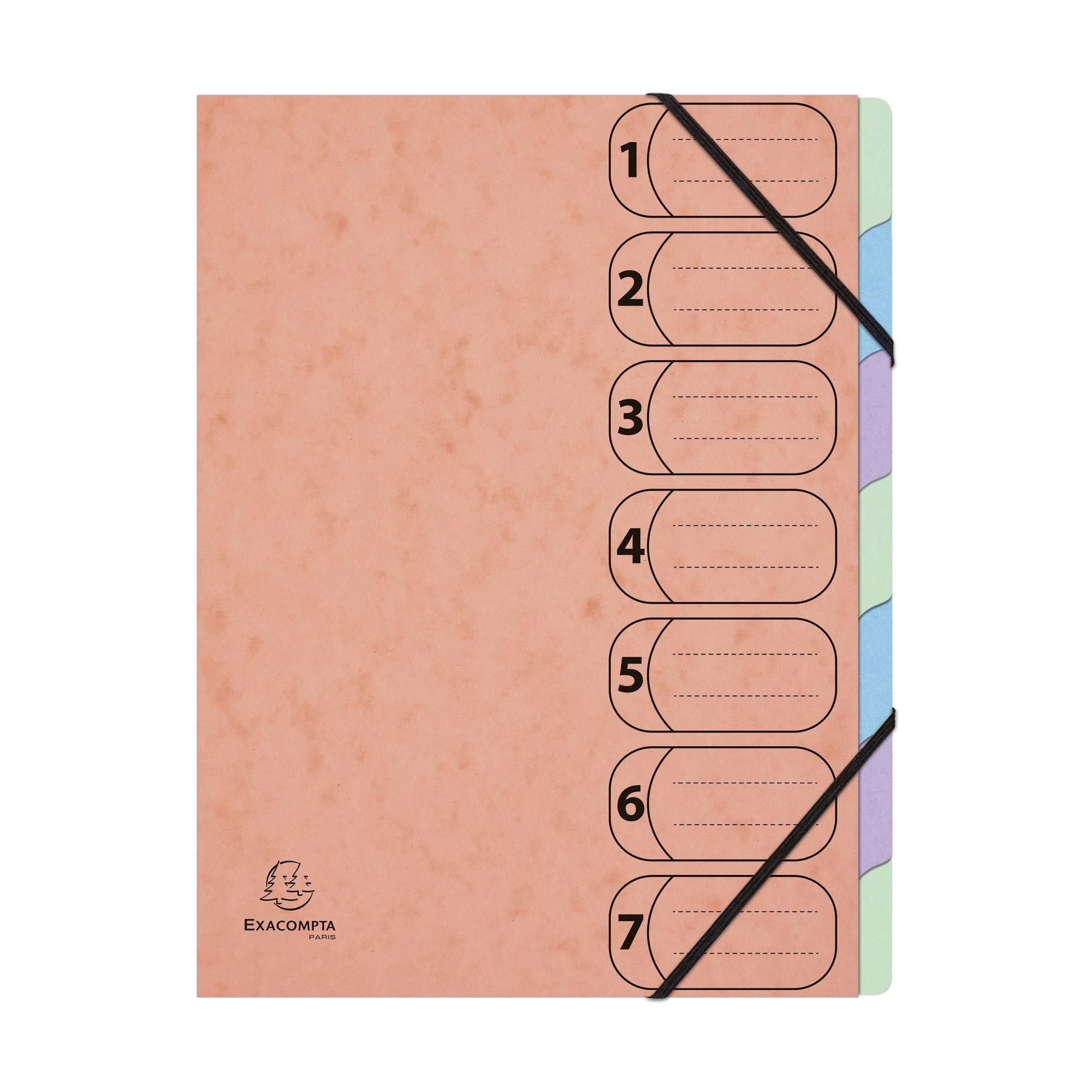 Exacompta 8x Ordnungsmappe A4 Harmonika Gummizug 7 Fächer sortiert 56560E
