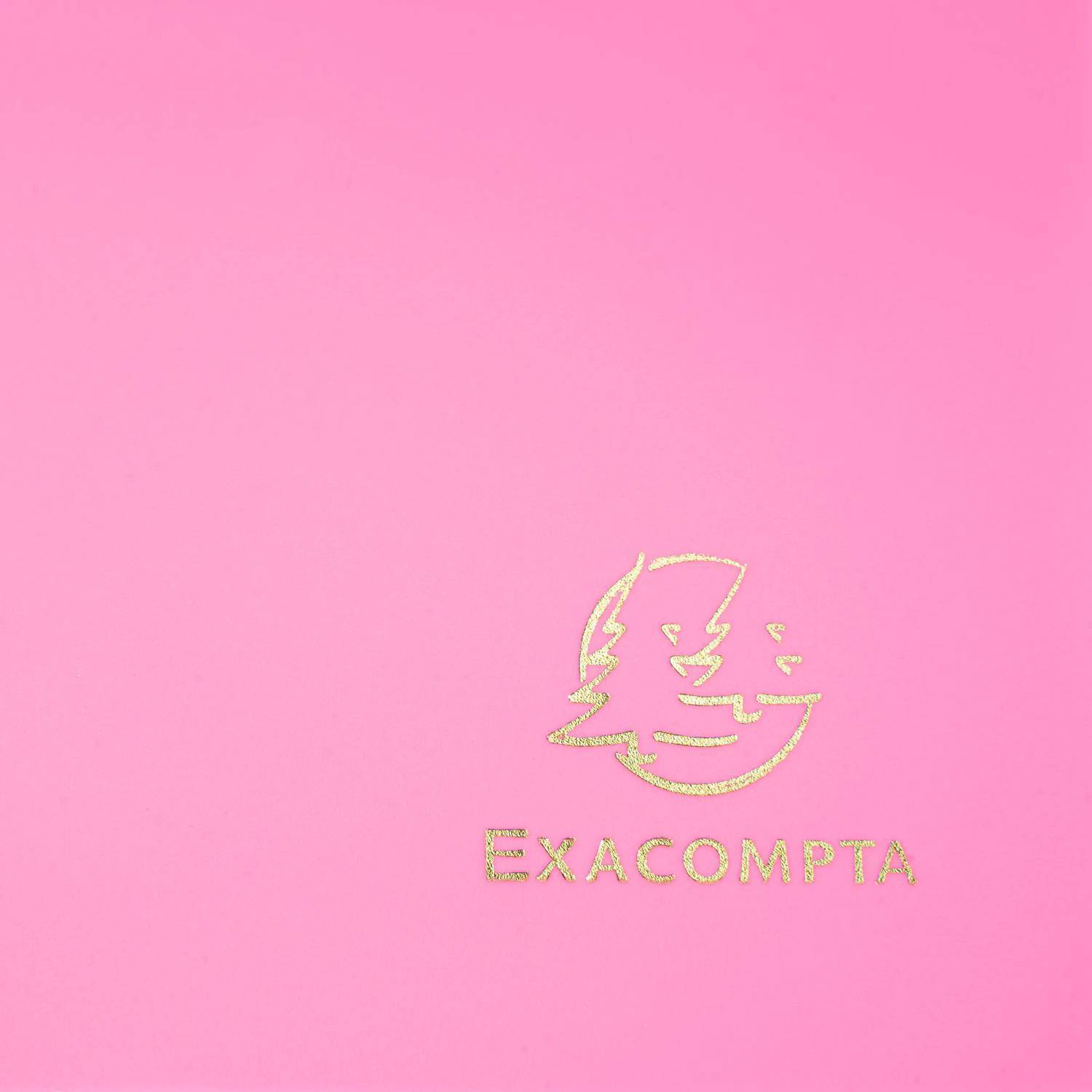 Exacompta 30x Sammelmappe +Gummizug 3 Klappen PP 400µ Eco A4 Fuchsia 55920E