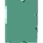 Exacompta 55303E 50x Sammelmappe mit Gummizug und 3 Klappen aus Colorspan-Karton 355g/qm, für Format DIN A4 - Grün