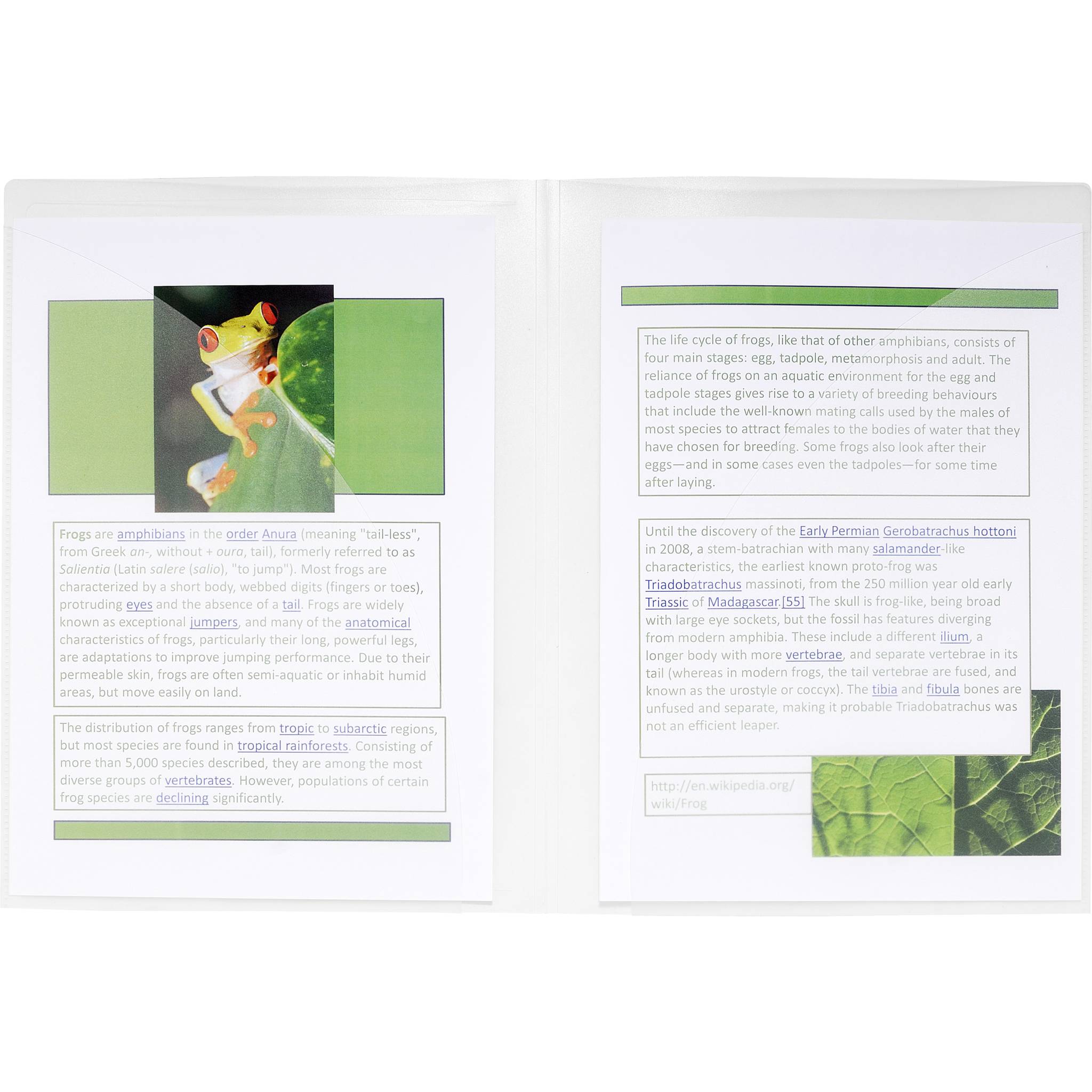 Exacompta 20x Präsentationsmappe doppelter Innentasche PP 400µ A4 Kristall 3967E