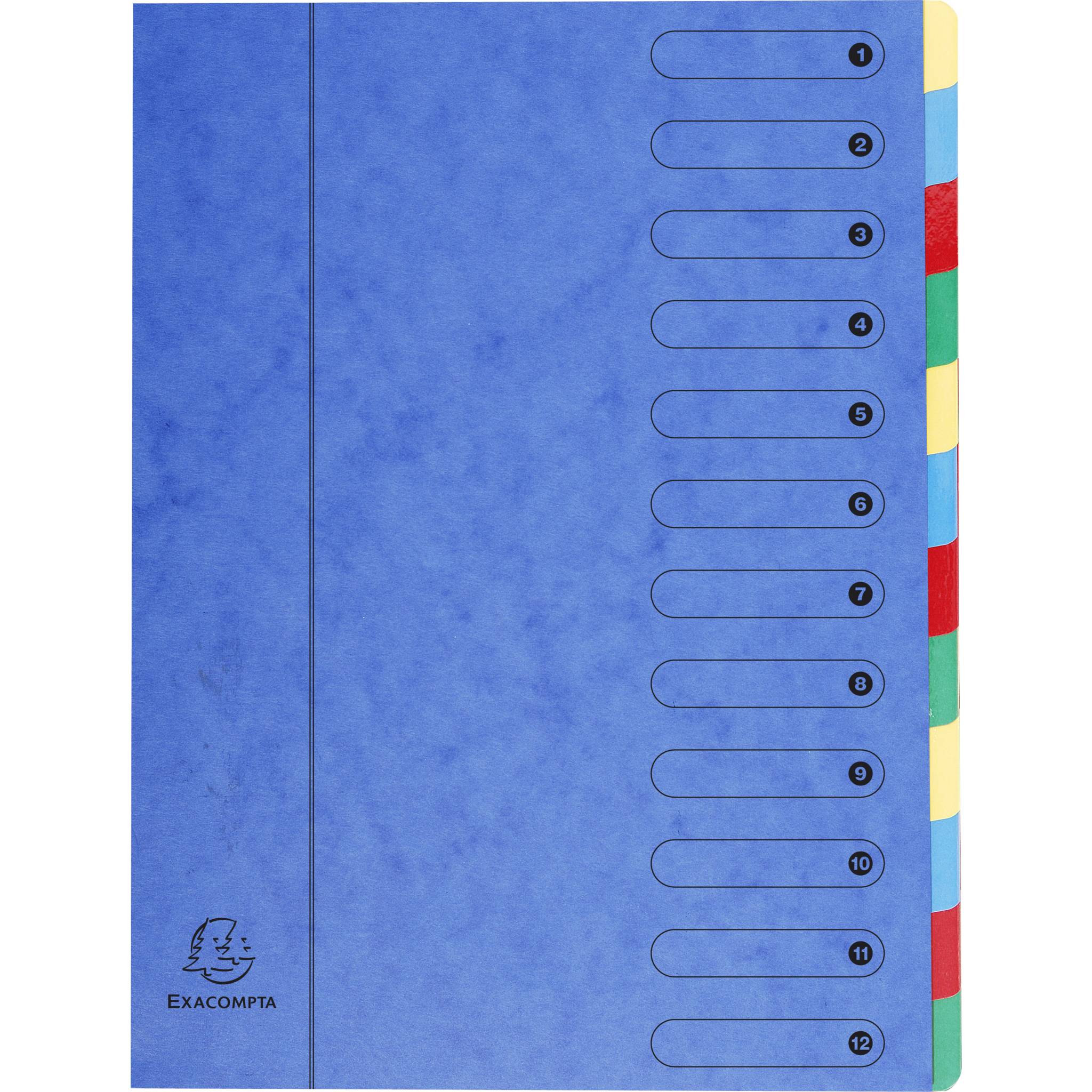 Exacompta 6x Dehnbare Ordnungsmappe Harmonika-Rücken 12 Fächer A4 Blau 5112E