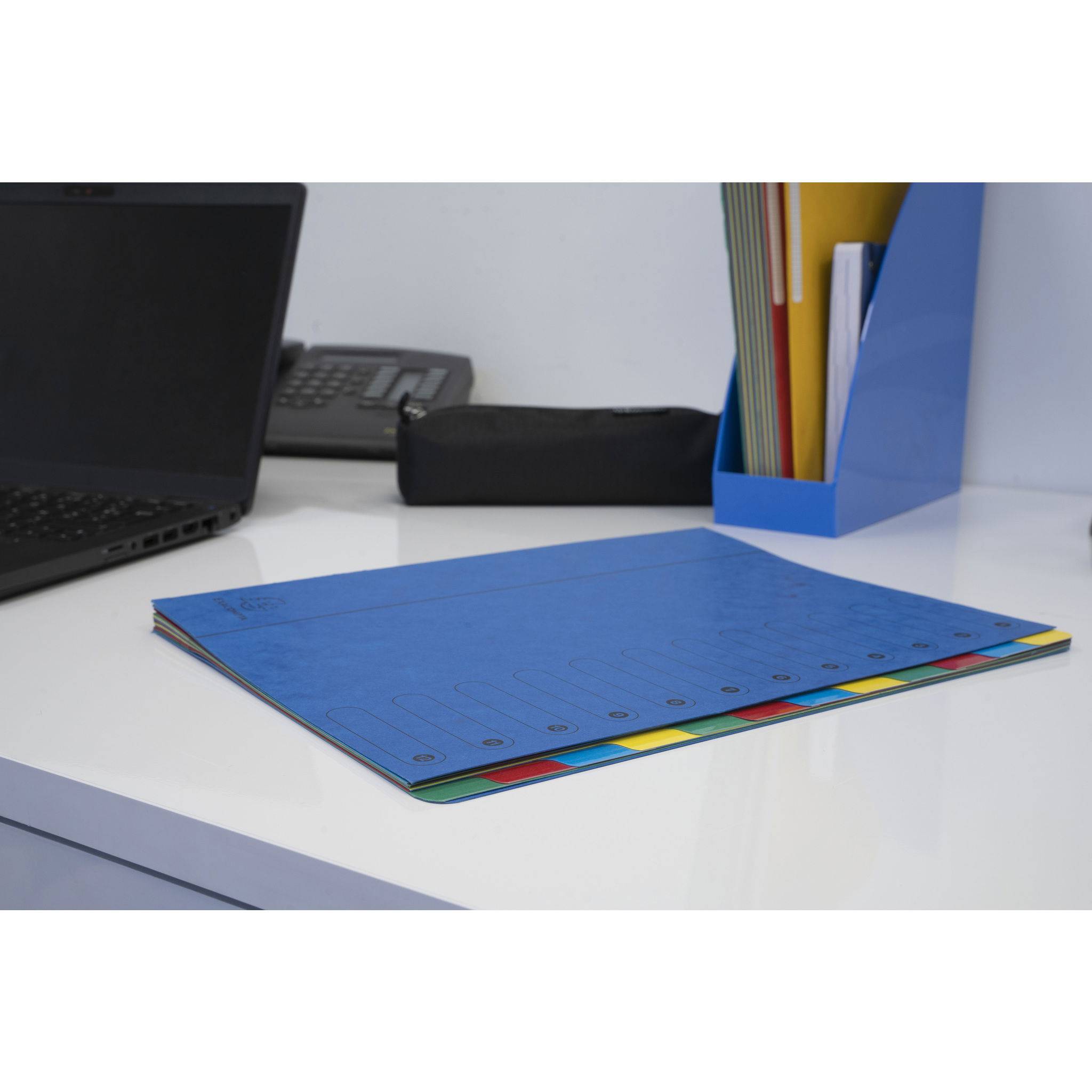 Exacompta 6x Dehnbare Ordnungsmappe Harmonika-Rücken 12 Fächer A4 Blau 5112E