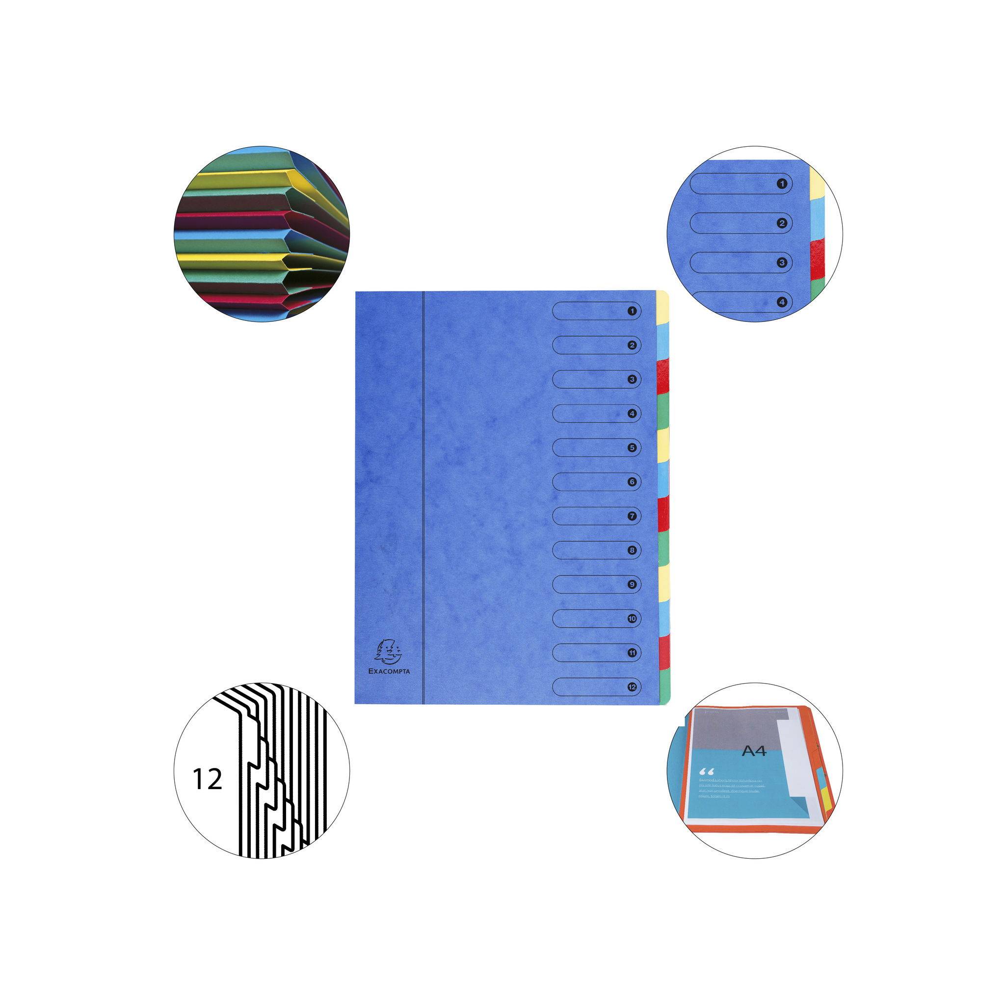 Exacompta 6x Dehnbare Ordnungsmappe Harmonika-Rücken 12 Fächer A4 Blau 5112E
