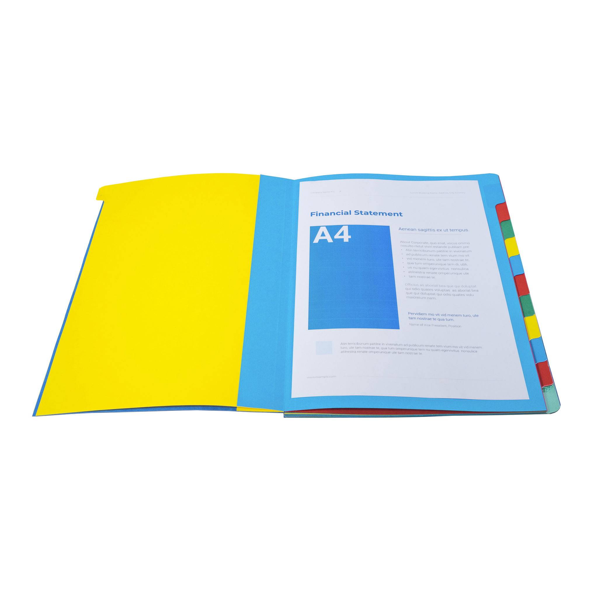 Exacompta 6x Dehnbare Ordnungsmappe Harmonika-Rücken 12 Fächer A4 Blau 5112E