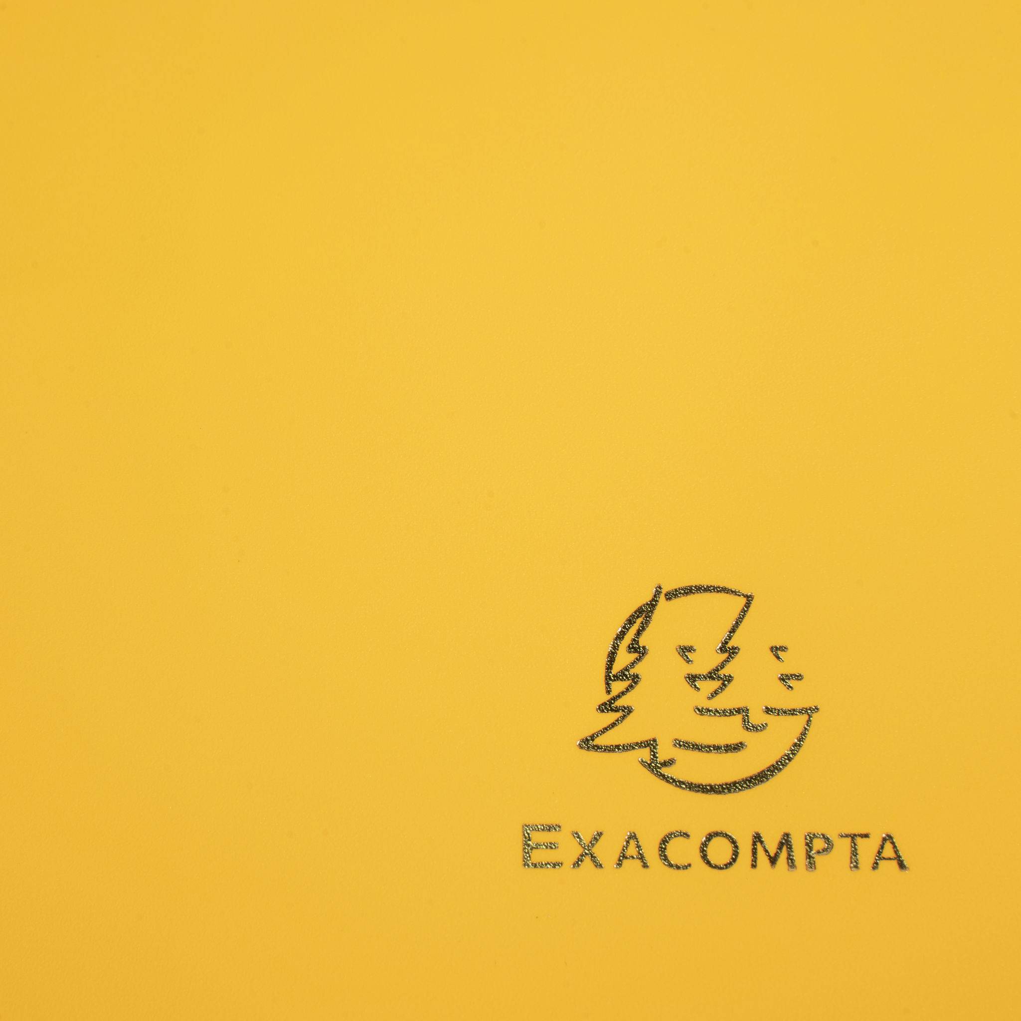 Exacompta 30x Sammelmappe +Gummizug 3 Klappen PP 400µ Eco A4 Gelb 55909E