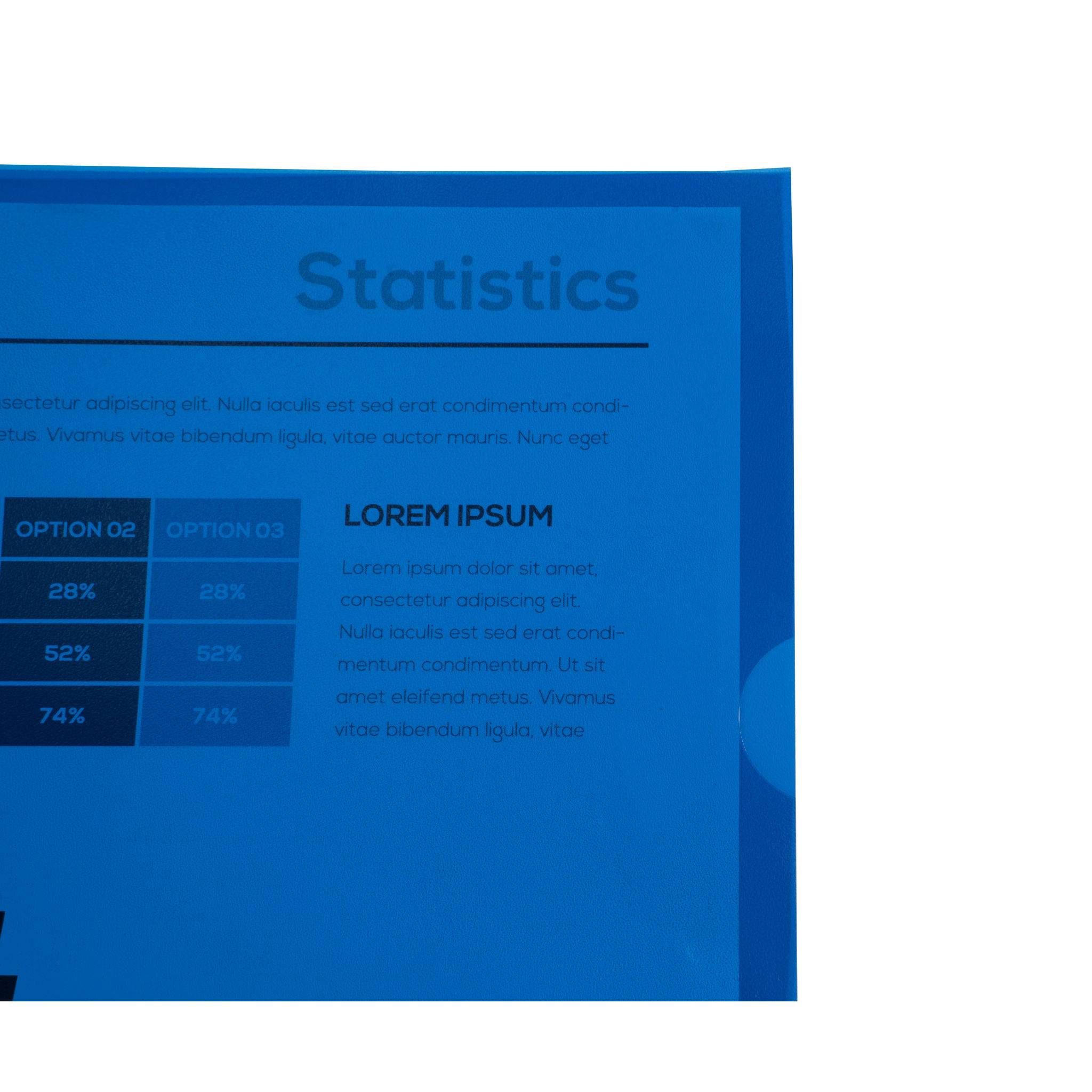 Exacompta 10x Pack 10 Aktensichthüllen genarbtem PP 120µ, A4, sortiert, 56119E