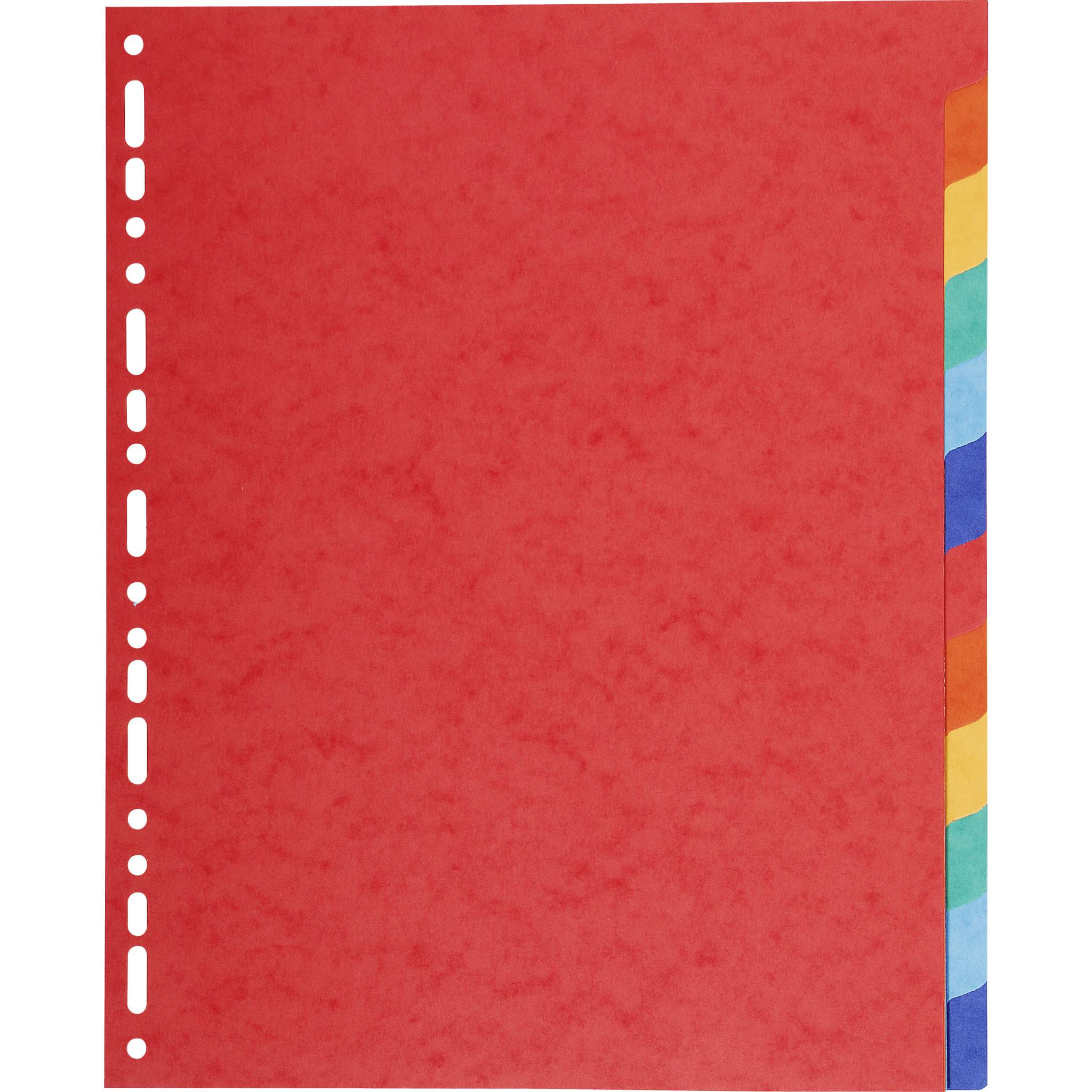 Exacompta 25x Register aus RC Kart.220g, 12 Taben, für Format A4 Maxi - 2112E