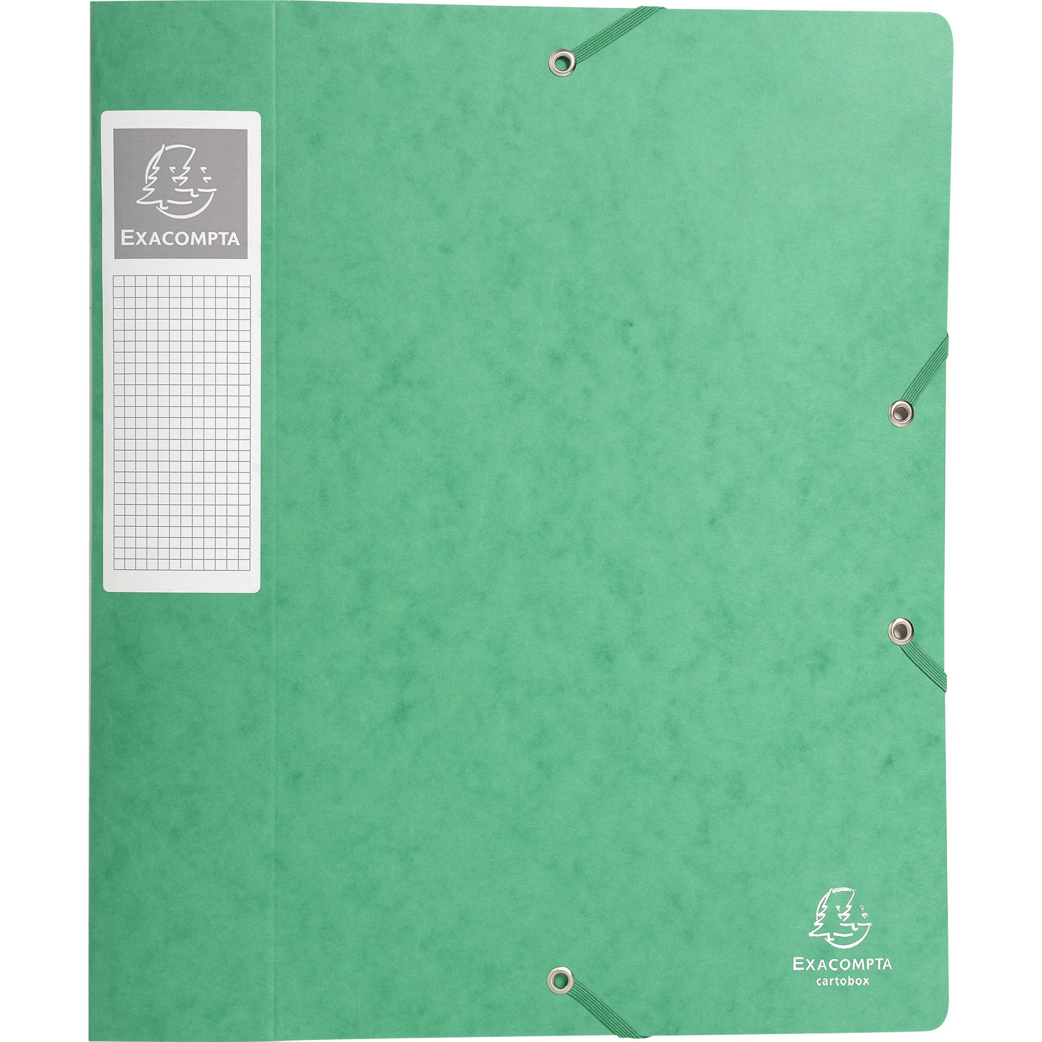 Exacompta 10x Archivbox Rücken 60mm Karton + 3 Klappen Gummizug A4 Grün 16003H